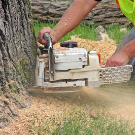 Top-notch tree removal services in Cookeville - experienced professional using a chainsaw